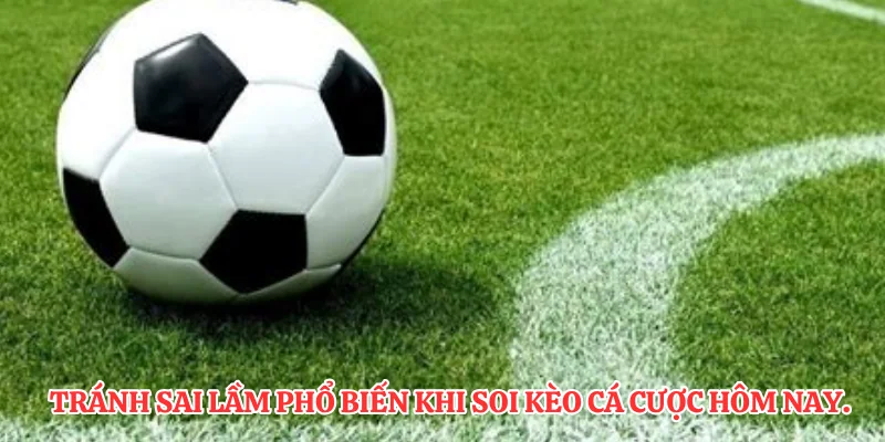 Tránh sai lầm phổ biến khi soi kèo cá cược hôm nay.